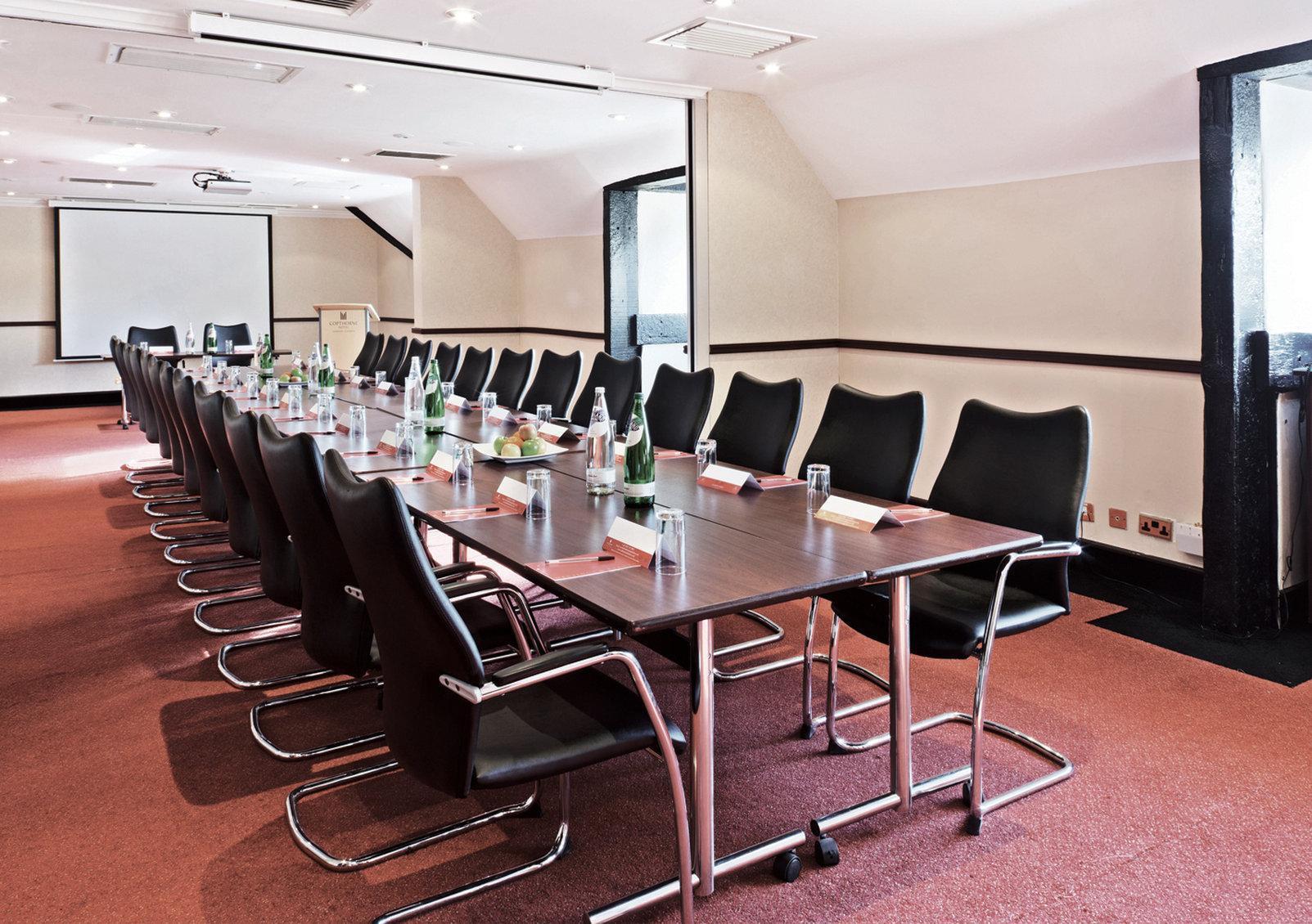 Copthorne Hotel London Gatwick Business foto